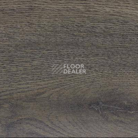 Ламинат Alsafloor Solid Medium ДУБ АРОНИЯ 542 фото 1 | FLOORDEALER